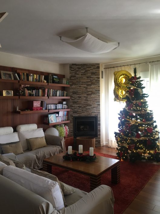 image12